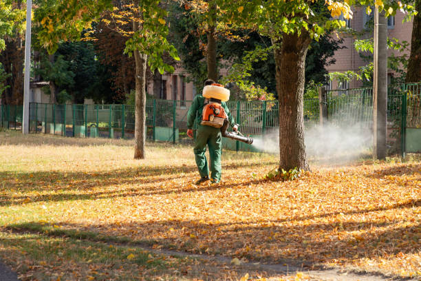 Pest Control Cost in Bridgeport, WA